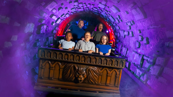 Irish Ferries Alton Towers Offer
