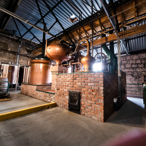 Crolly Distillery Experience