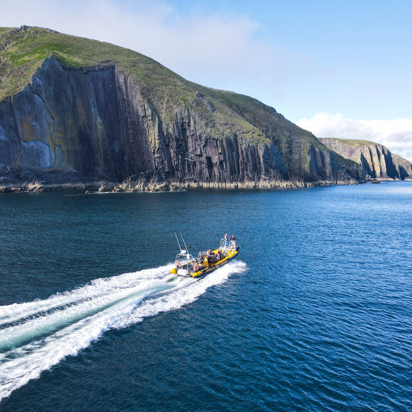 Dingle Sea Safari