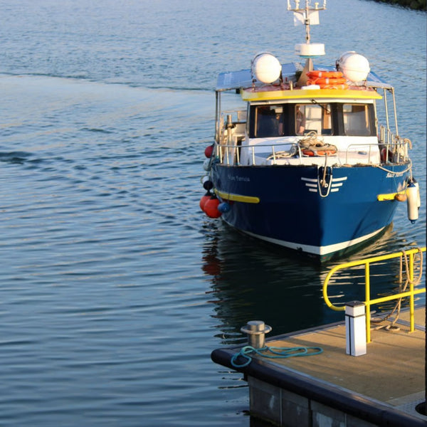 Howth Cliff Cruises