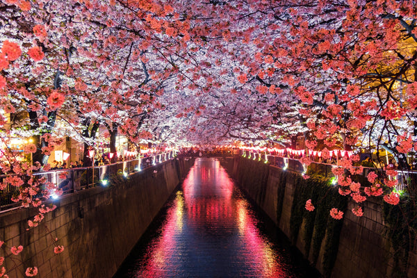 Japan 2027