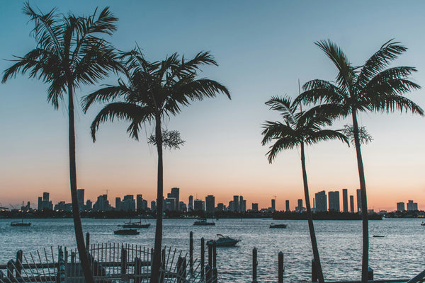 Las Vegas, Miami & Caribbean Cruise & Stay  Adult Only Offer