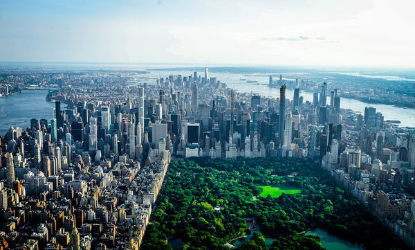 Las Vegas & New York City