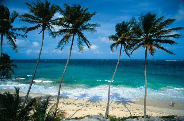 Barbados & Southern Caribbean  Fly, Cruise & Stay
