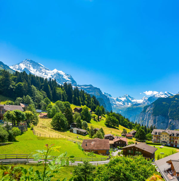 Rhine Cruise to Switzerland