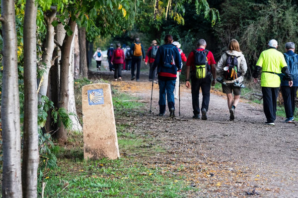 Camino Francés: Triacastela to Santiago