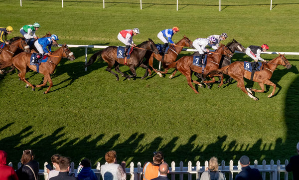 Summer BBQ & Music Naas Racecourse