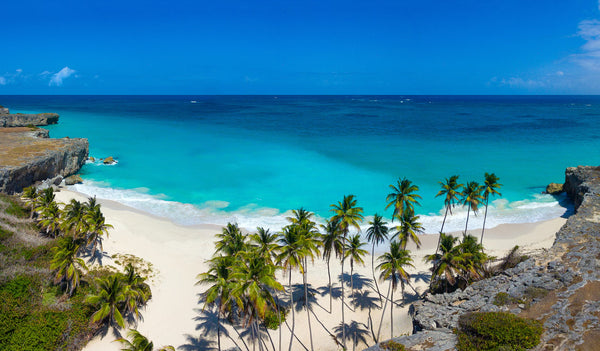Barbados & Southern Caribbean  Fly, Cruise & Stay