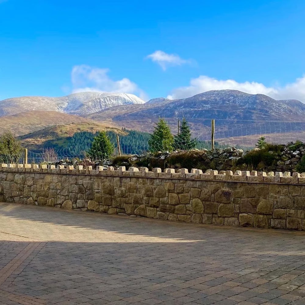 Mountainview Lodge