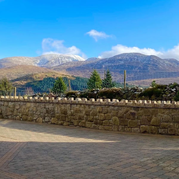 Mountainview Lodge