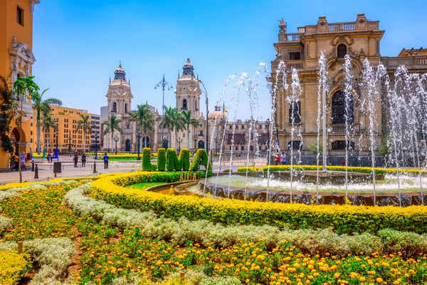 Peru Tour (With New York Add On)